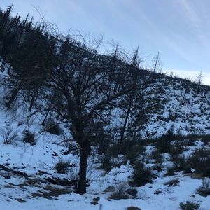 Meet your Posher, Nelson